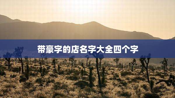 带豪字的店名字大全四个字