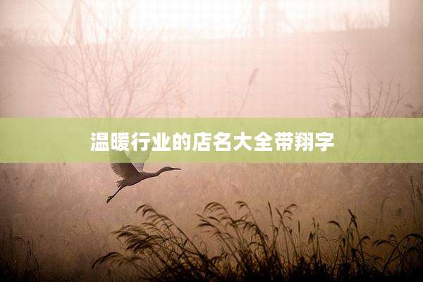 温暖行业的店名大全带翔字