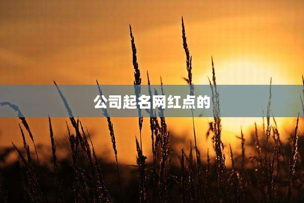 公司起名网红点的
