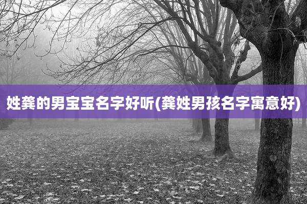 姓龚的男宝宝名字好听(龚姓男孩名字寓意好)