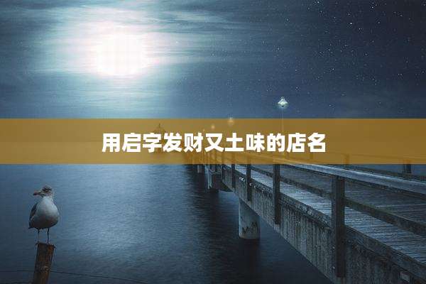 用启字发财又土味的店名