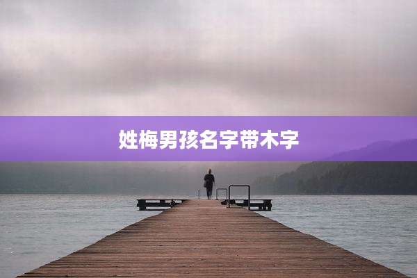 姓梅男孩名字带木字