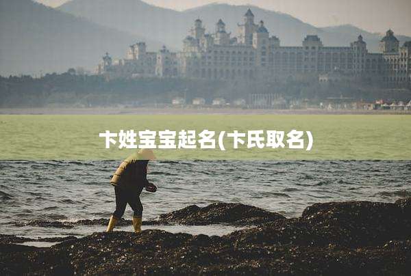 卞姓宝宝起名(卞氏取名)