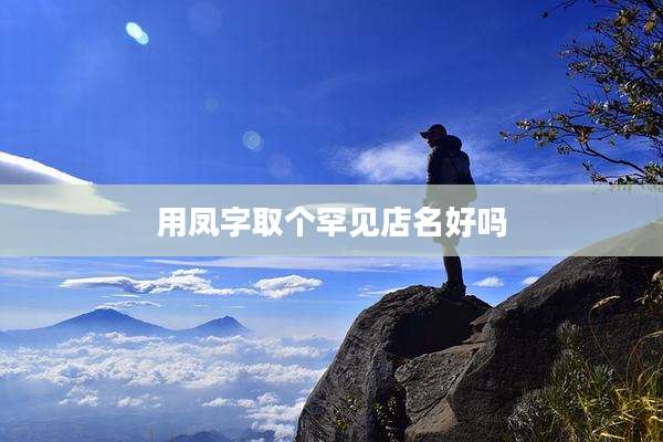用凤字取个罕见店名好吗