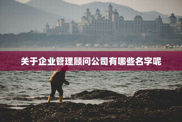 关于企业管理顾问公司有哪些名字呢