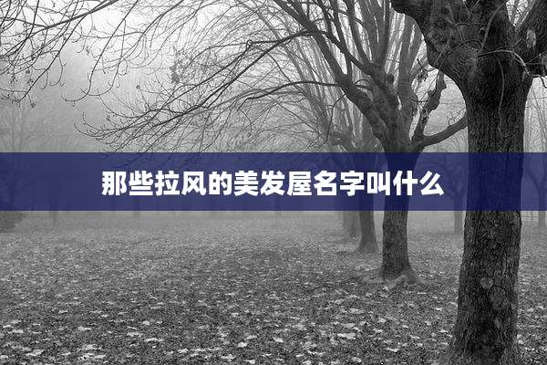 那些拉风的美发屋名字叫什么