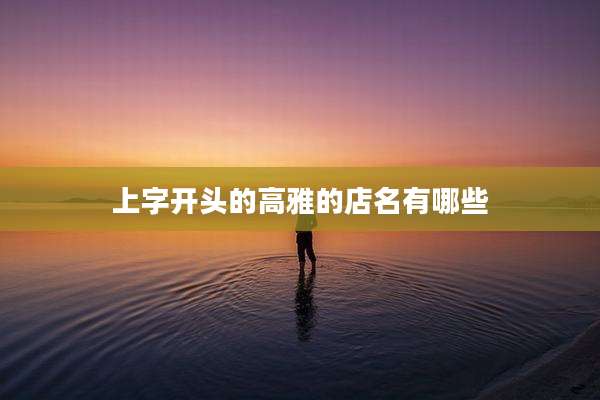 上字开头的高雅的店名有哪些