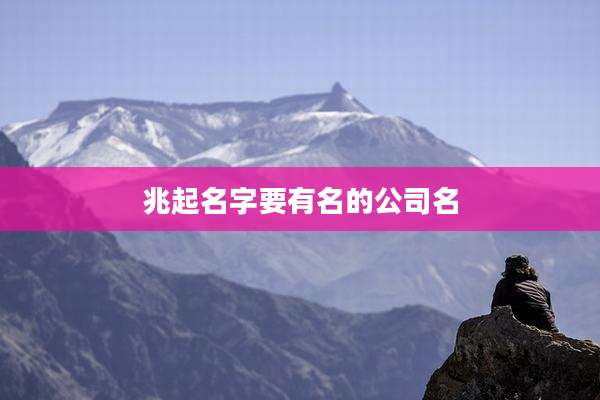 兆起名字要有名的公司名