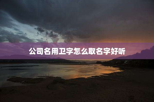 公司名用卫字怎么取名字好听