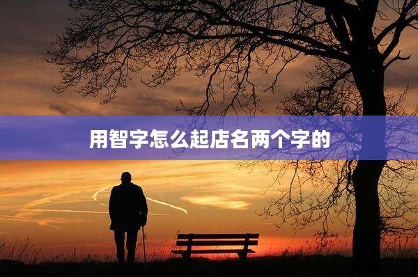 用智字怎么起店名两个字的