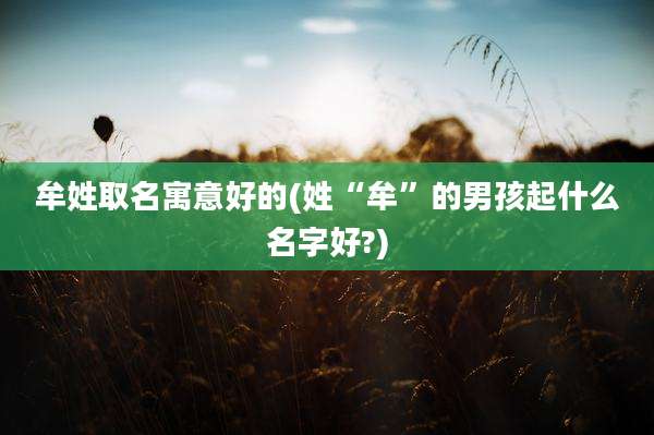 牟姓取名寓意好的(姓“牟”的男孩起什么名字好?)