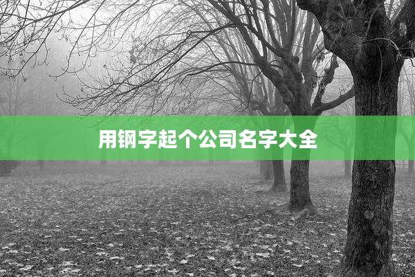 用钢字起个公司名字大全