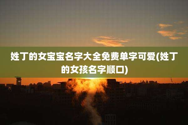 姓丁的女宝宝名字大全免费单字可爱(姓丁的女孩名字顺口)