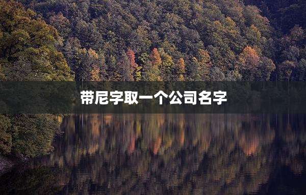 带尼字取一个公司名字