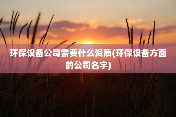 环保设备公司需要什么资质(环保设备方面的公司名字)