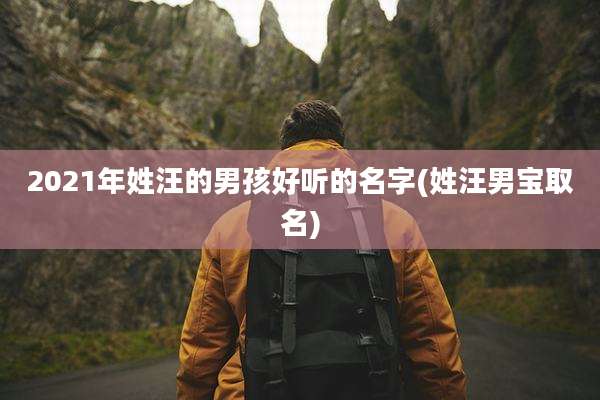 2021年姓汪的男孩好听的名字(姓汪男宝取名)