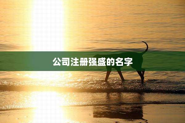 公司注册强盛的名字