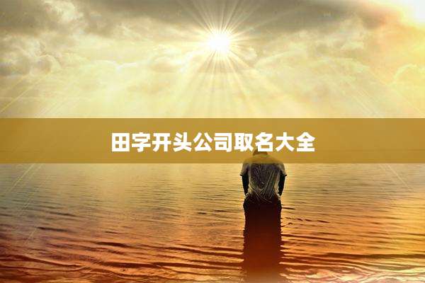 田字开头公司取名大全