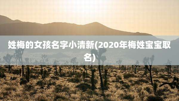 姓梅的女孩名字小清新(2020年梅姓宝宝取名)