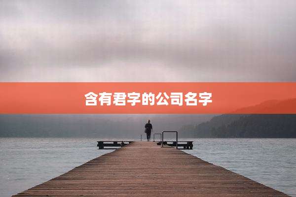 含有君字的公司名字