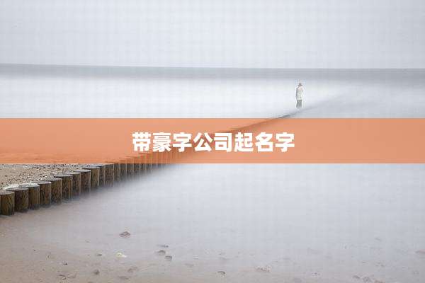 带豪字公司起名字