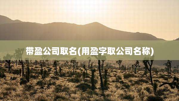 带盈公司取名(用盈字取公司名称)