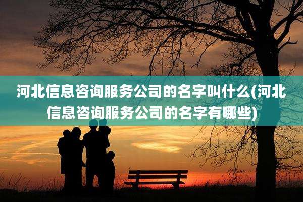 河北信息咨询服务公司的名字叫什么(河北信息咨询服务公司的名字有哪些)