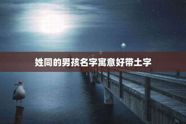姓同的男孩名字寓意好带土字