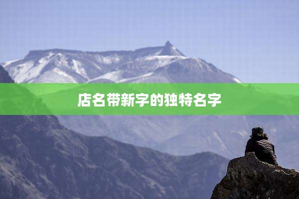 店名带新字的独特名字