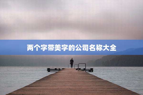 两个字带美字的公司名称大全