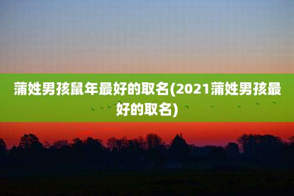 蒲姓男孩鼠年最好的取名(2021蒲姓男孩最好的取名)