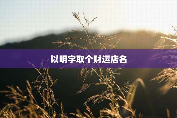 以明字取个财运店名