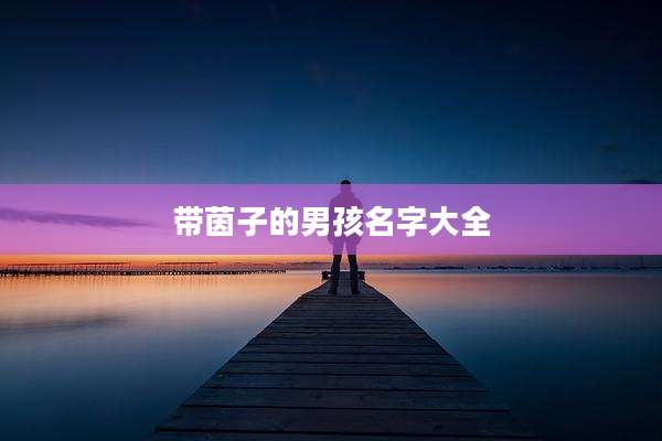 带茵子的男孩名字大全