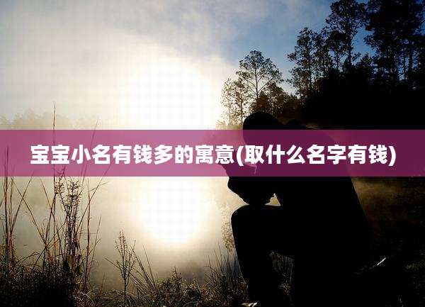 宝宝小名有钱多的寓意(取什么名字有钱)