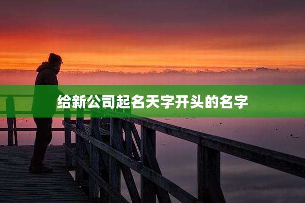 给新公司起名天字开头的名字