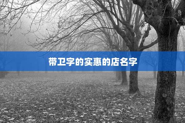 带卫字的实惠的店名字