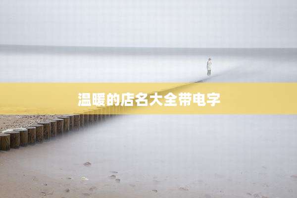 温暖的店名大全带电字