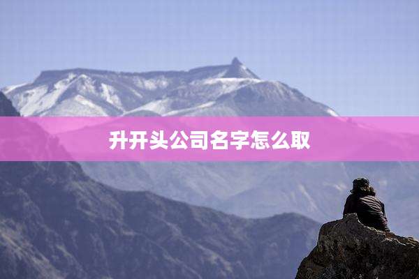 升开头公司名字怎么取