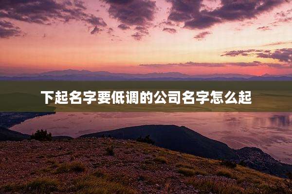 下起名字要低调的公司名字怎么起