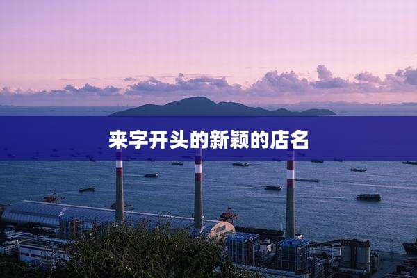 来字开头的新颖的店名