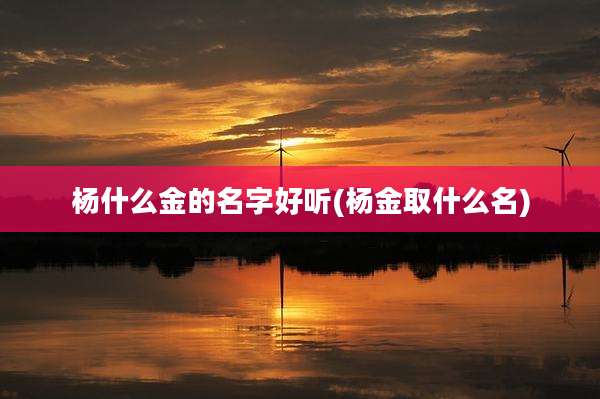 杨什么金的名字好听(杨金取什么名)