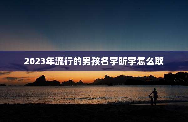2023年流行的男孩名字昕字怎么取