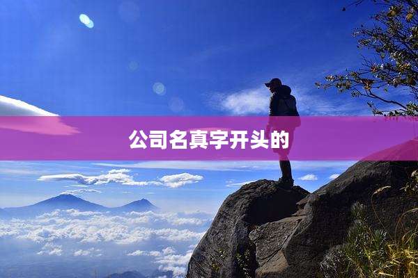 公司名真字开头的