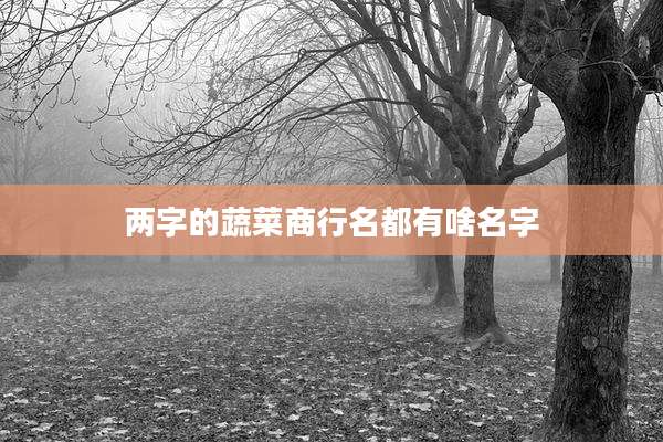 两字的蔬菜商行名都有啥名字