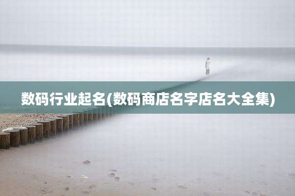 数码行业起名(数码商店名字店名大全集)