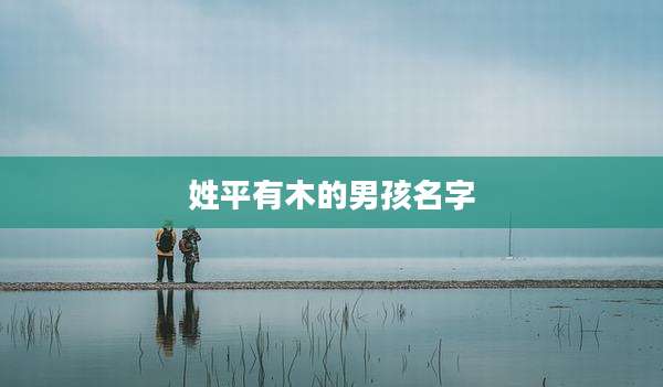 姓平有木的男孩名字