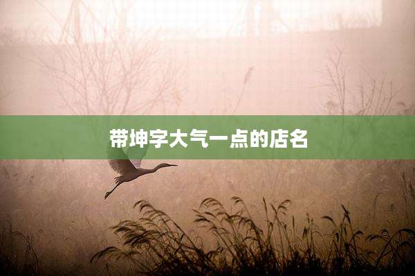 带坤字大气一点的店名