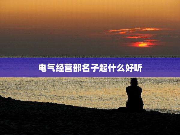 电气经营部名子起什么好听