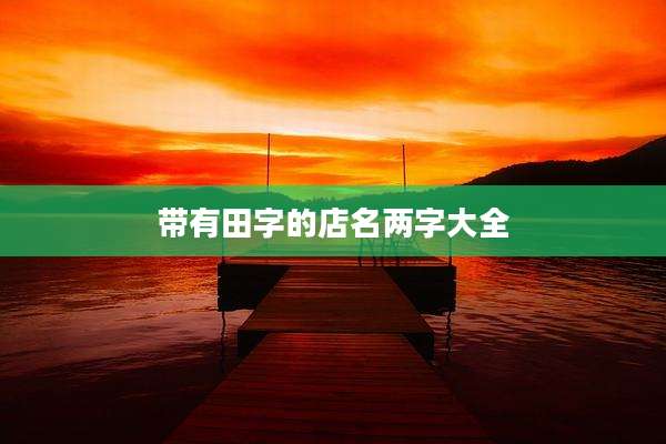 带有田字的店名两字大全