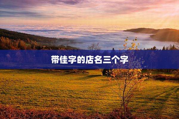 带佳字的店名三个字